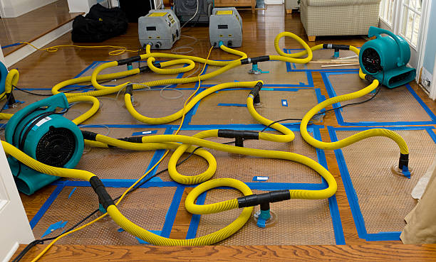 Professional Crawl Space Water Removal technician working in Rush Valley, UT